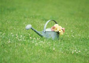 浜松のハウスクリーニングで床を衛生的に保つ